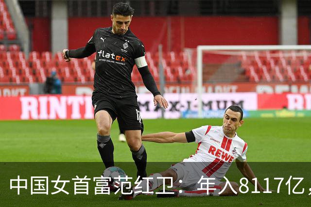 中国女首富范红卫：年入8117亿，超华为成第3民企，她哪来的钱？