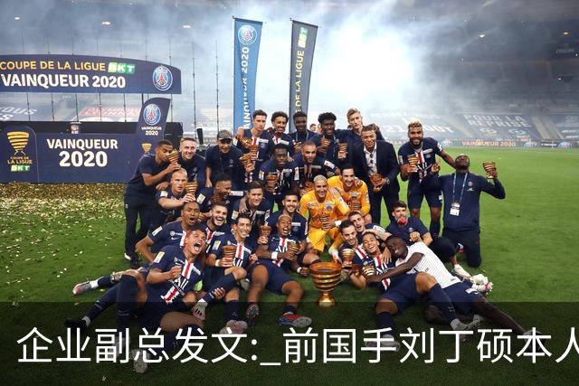 企业副总发文: 前国手刘丁硕本人就是饭圈，一直在给乒乓饭圈续命
