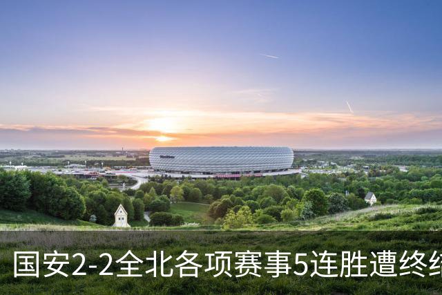 国安2-2全北各项赛事5连胜遭终结，杜齐亚克、王刚破门