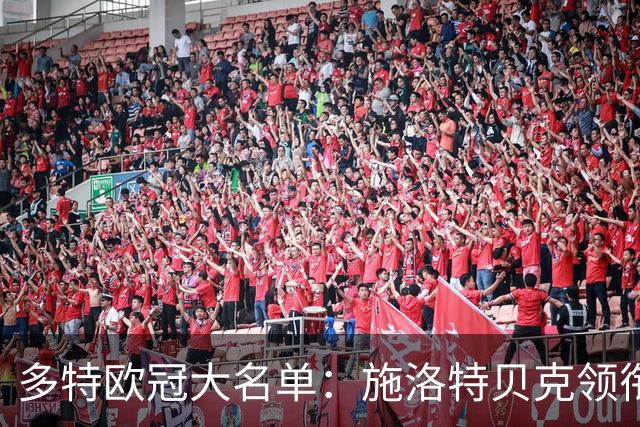 多特欧冠大名单：施洛特贝克领衔，小贝林厄姆、恩瓦内里在列