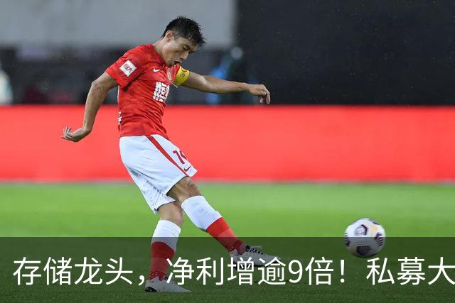 存储龙头，净利增逾9倍！私募大佬重仓未动