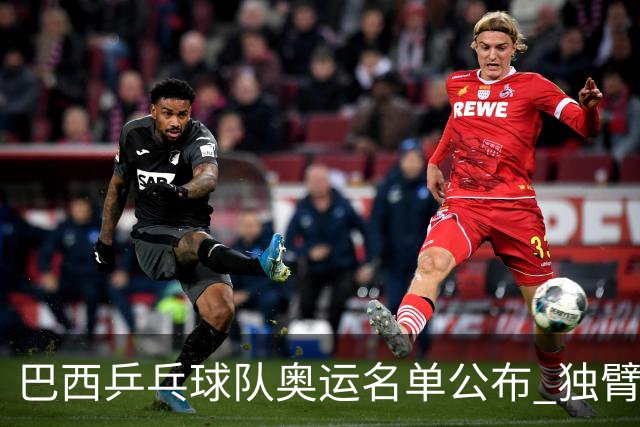 巴西乒乓球队奥运名单公布 独臂女将出战两个奥运