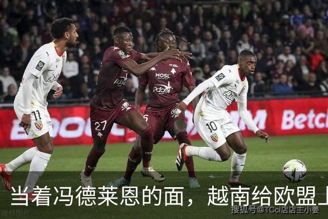 当着冯德莱恩的面，越南给欧盟上了一课：这就是“中国力量”
