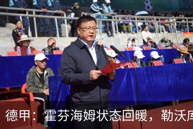德甲：霍芬海姆状态回暖，勒沃库森表现强势
