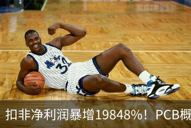 扣非净利润暴增19848%！PCB概念股，前十大股东新增神秘自然人