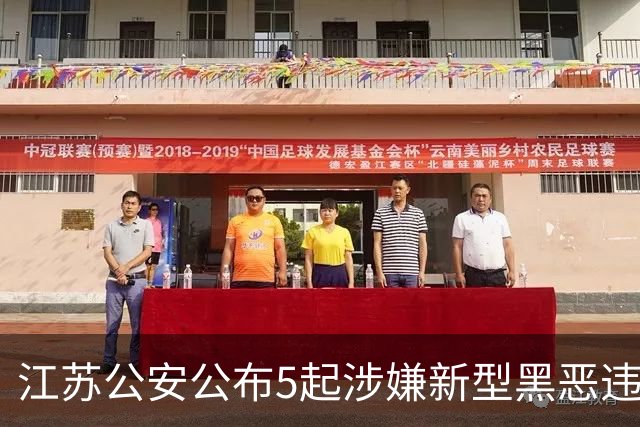 江苏公安公布5起涉嫌新型黑恶违法犯罪典型案例