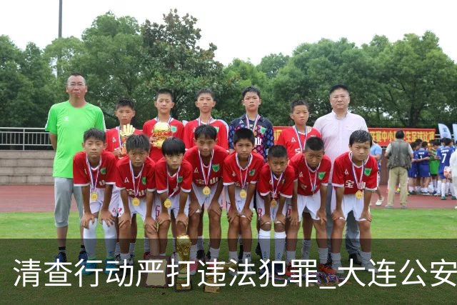 清查行动严打违法犯罪 大连公安公布5起典型案例
