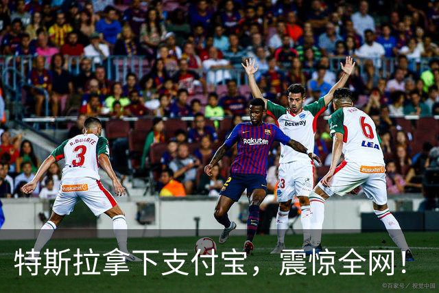 特斯拉拿下支付宝，震惊全网！