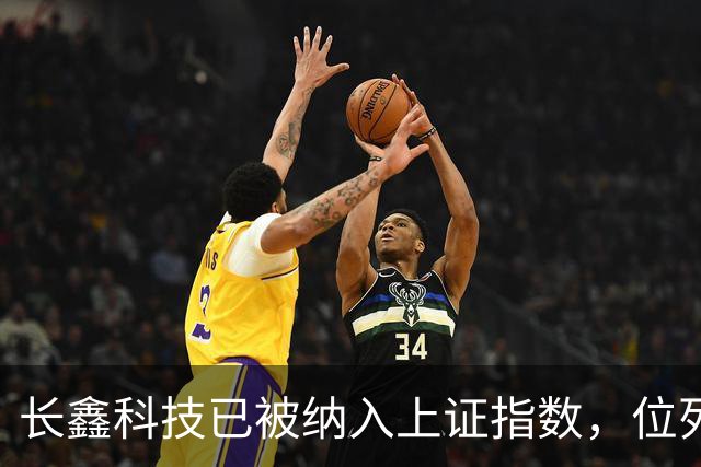 长鑫科技已被纳入上证指数，位列第一大权重股