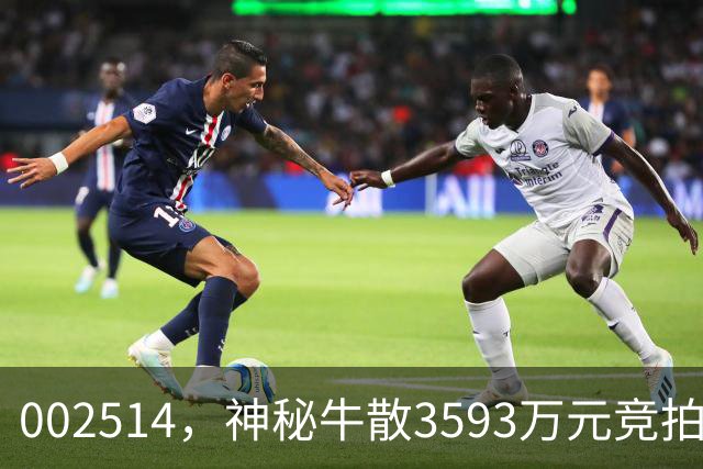 002514，神秘牛散3593万元竞拍股权，将成第三大股东
