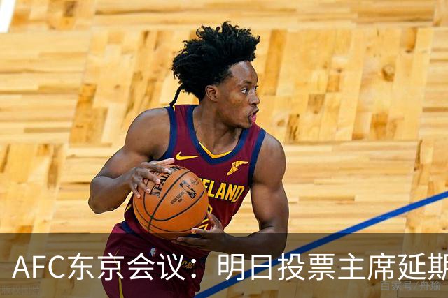 AFC东京会议：明日投票主席延期 11.18定夺亚洲杯